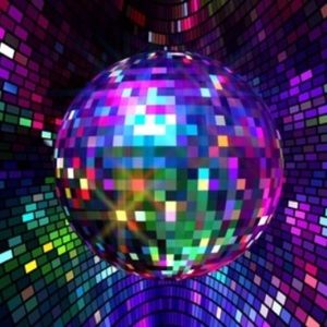 Meet your Posher, Ann